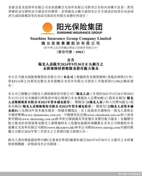  香港交易所首次公开发行 _阳光保险集团IPO _阳光保险股份有限公司官网