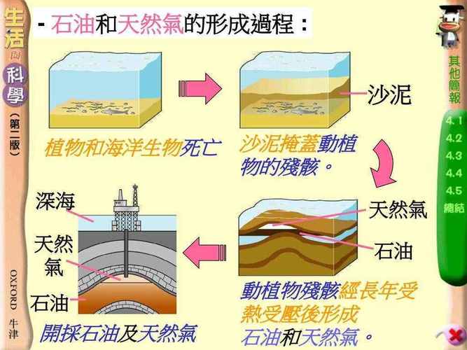 石油由来_中东发现石油时间_石油是怎样产生的