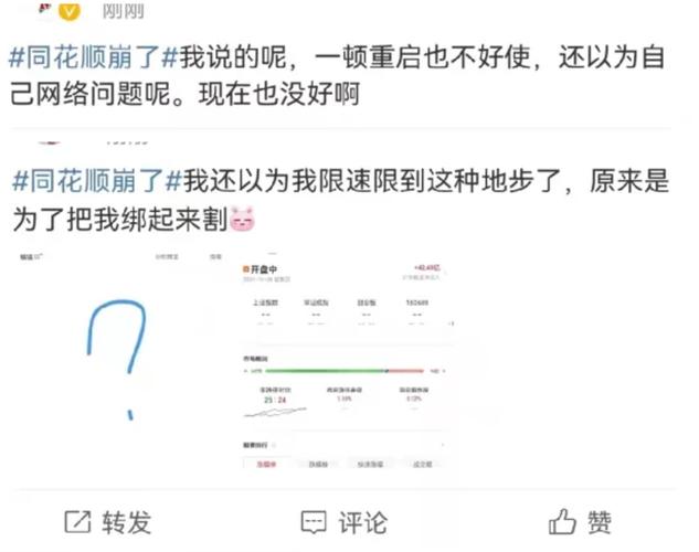 同花顺APP登录异常赔偿_同花顺level2说明书_同花顺交易软件崩了