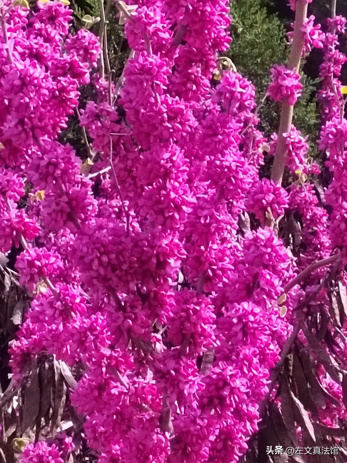 财产险考试题库_财产保险合同纠纷 运输工具认定 标准 管辖规则