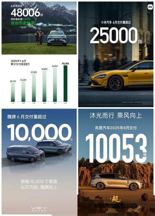 汽车之家上的零首付_零跑汽车销量增长_零跑C系列车型市场表现