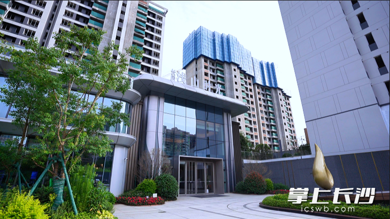 银金的价格_房市金九银十_银新金店黄金价格