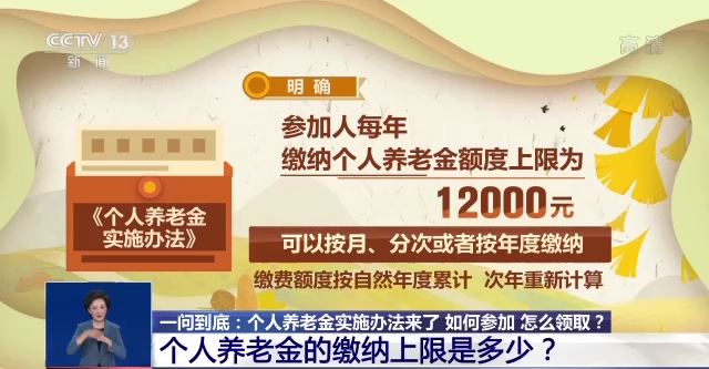 养老保险待遇自_个人养老金制度是什么_个人养老金实施办法