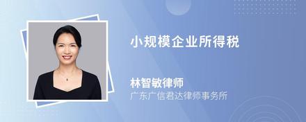 小规模企业所得税