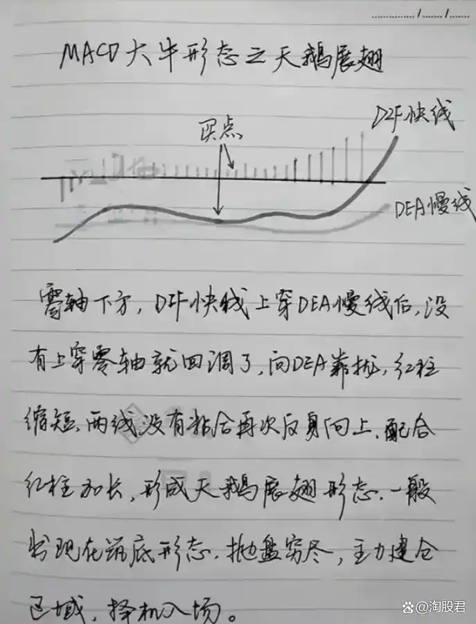 炒股不求人：经典理论与常见技术指标实战_MACD指标短线交易技巧_巨阴杀跌反包策略
