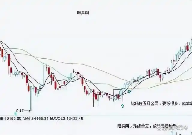  股市交易铁律_炒股不求人：经典理论与常见技术指标实战_股市投资新手指南