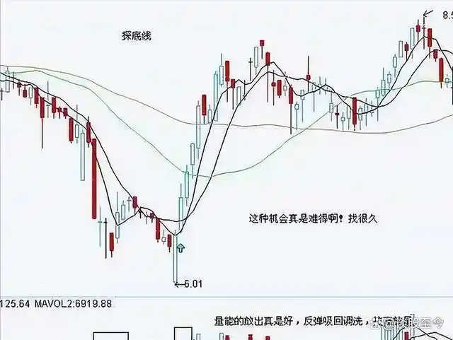 股市投资新手指南_ 股市交易铁律_炒股不求人：经典理论与常见技术指标实战