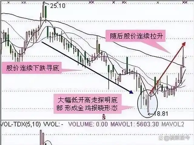  股市交易铁律_炒股不求人：经典理论与常见技术指标实战_股市投资新手指南