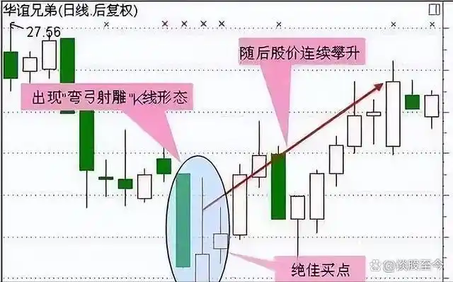 股市投资新手指南_炒股不求人：经典理论与常见技术指标实战_ 股市交易铁律