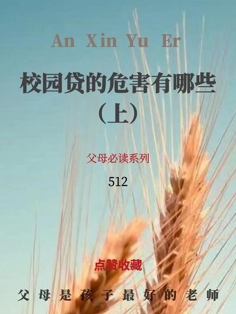 女大学生欠债百万_大学生欠高利贷被车震_校园贷非法借贷