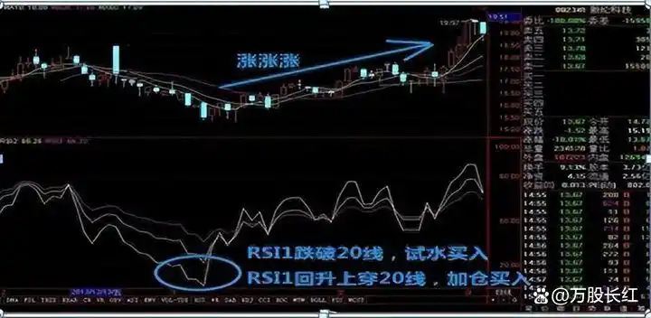 炒股不求人：经典理论与常见技术指标实战_股票投资精选个股技巧_克服人性在股市赚钱