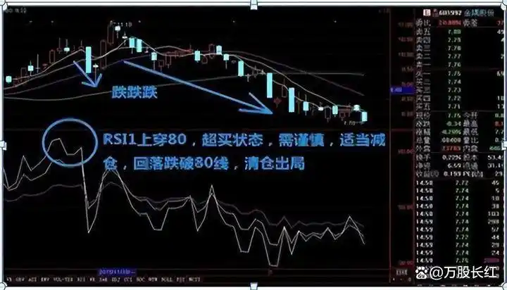 炒股不求人：经典理论与常见技术指标实战_克服人性在股市赚钱_股票投资精选个股技巧