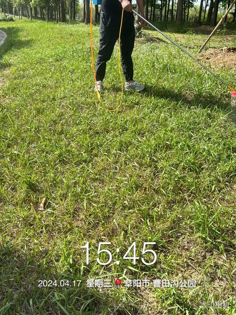 小麦除草剂最佳时间_小麦除草剂什么时候打好_小麦除草剂使用温度