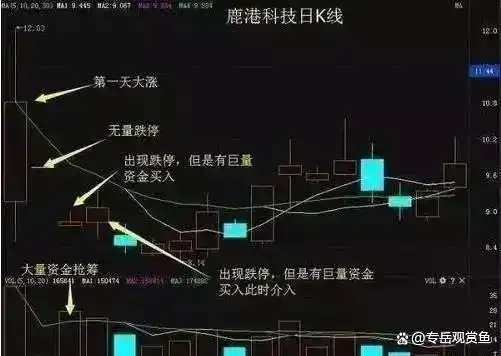 股市心态修炼_开证券空户有什么风险_A股行情分析