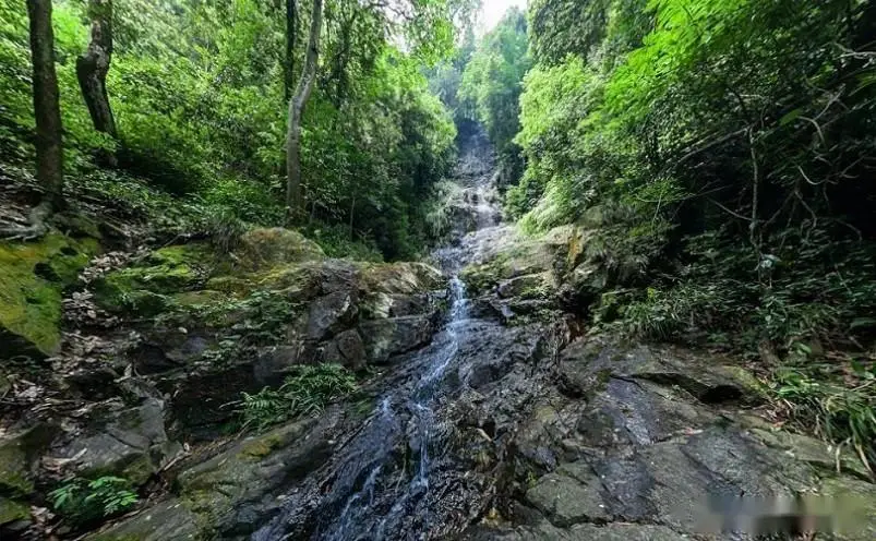 武夷山_南平祥生艺境花城图片_南平十大必玩景点