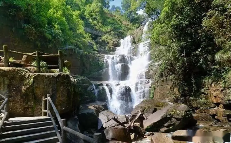 南平十大必玩景点_南平祥生艺境花城图片_武夷山