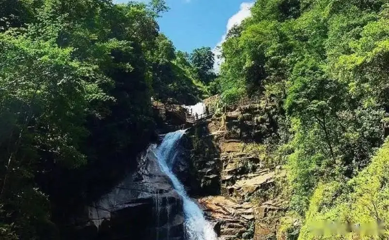 南平十大必玩景点_武夷山_南平祥生艺境花城图片