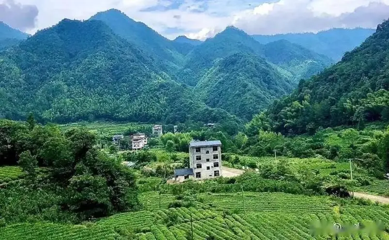 南平祥生艺境花城图片_武夷山_南平十大必玩景点
