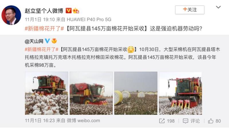 大盘鸡图片真实_大盘鸡图片高清大图_大盘鸡图片