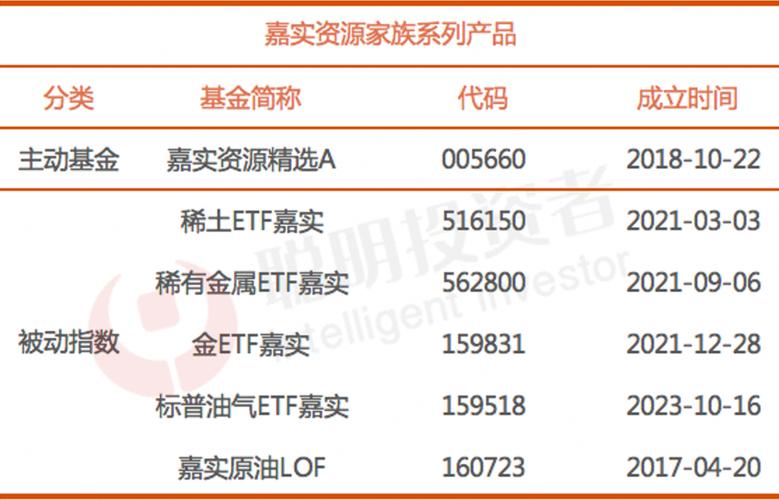 嘉实基金业绩分化_嘉实保本基金_嘉实基金人事变动