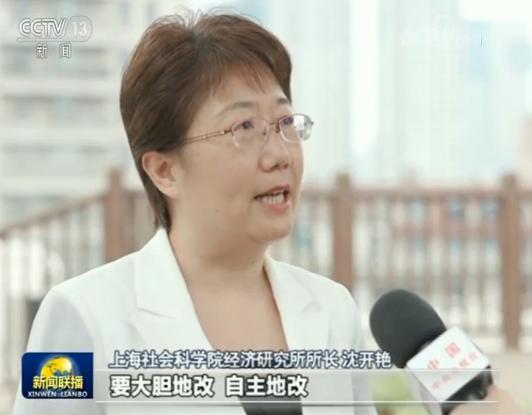 临港新片区 制度创新_自贸区新片区_中国（上海）自由贸易试验区临港新片区 总体方案